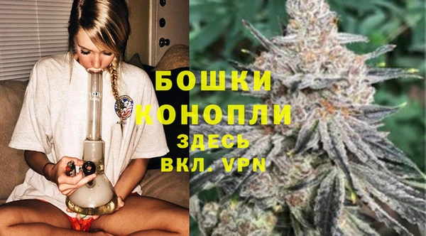 гидра Баксан