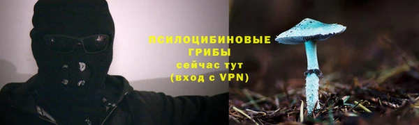 мяу мяу мука Балабаново