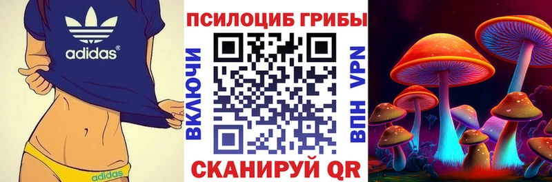 MEGA как войти  продажа наркотиков  Великие Луки  Псилоцибиновые грибы мухоморы 